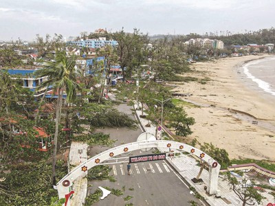 Công tác giám định gặp khó do khối lượng tổn thất cần giám định quá lớn.