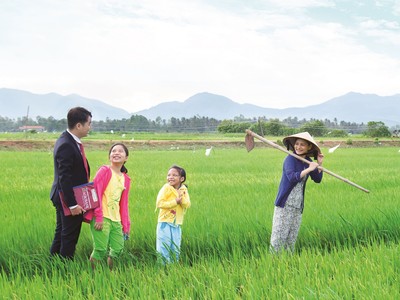 “Ngành ngân hàng cho vay không giới hạn trong chuỗi liên kết một triệu ha lúa chất lượng cao”