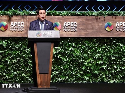 Chủ tịch nước Lương Cường có bài phát biểu quan trọng tại Hội nghị. Ảnh: TTXVN.