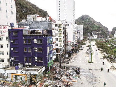 Chi phí bồi thường thiệt hại do bão lũ tăng vọt đã tác động tiêu cực tới lợi nhuận của hầu hết công ty bảo hiểm phi nhân thọ.