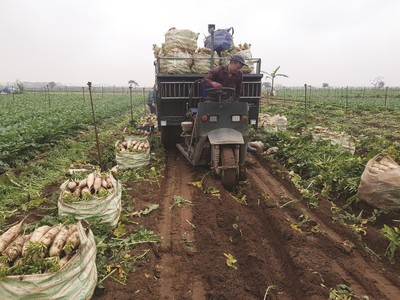 Người nông dân đang khó tiếp cận các sản bảo hiểm nông nghiệp.