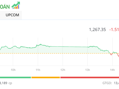 Dòng tiền yếu, VN-Index tiếp tục giảm nhẹ trong phiên ngày 12/12