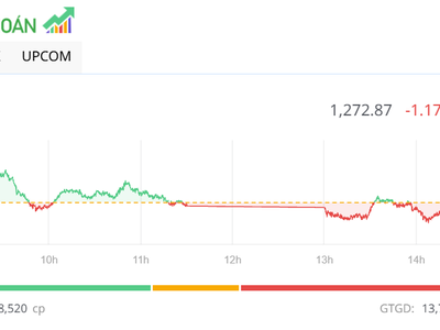Con sóng YEG kết thúc, thị trường giảm nhẹ trong phiên chiều 26/12