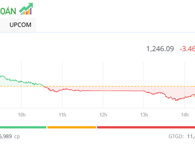Nhà đầu tư tập trung vào các mã vừa và nhỏ trong phiên chiều 21/1