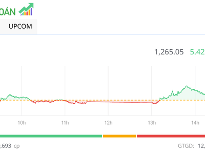 Nhóm cổ phiếu nhà Gelex tăng vọt, thị trường tăng điểm trong phiên cuối cùng năm Âm lịch Giáp Thìn