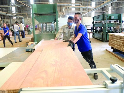 Kim ngạch xuất khẩu của Việt Nam lần đầu tiên vượt mốc 400 tỷ USD trong năm 2024.