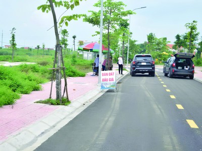 Đất đấu giá được quan tâm trở lại. Ảnh: Thanh Vũ.