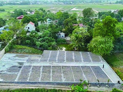 Đất nền dự án, đất thổ cư vùng ven, tỉnh lẻ được săn đón. Ảnh: Dũng Minh.