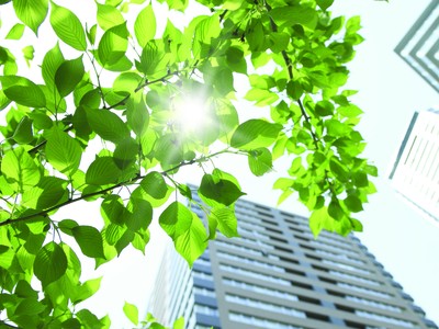 Doanh nghiệp địa ốc tăng tốc tái cơ cấu