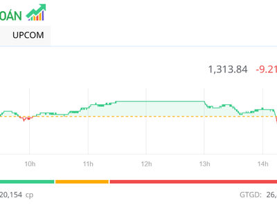 Thị trường đảo chiều trong phiên chiều 22/5