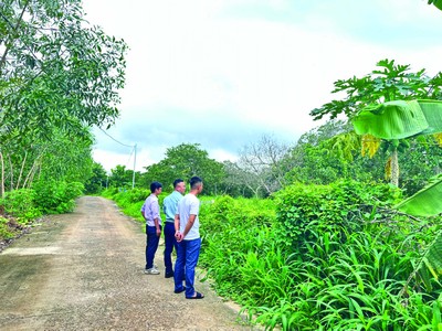 Nhà đầu tư đi săn đất nền. Ảnh: Vũ Dũng.