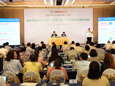 ĐHĐCĐ EVNGENCO3 (PGV): Doanh thu mục tiêu 42.852 tỷ đồng, ước 5 tháng hoàn thành 43,8% kế hoạch