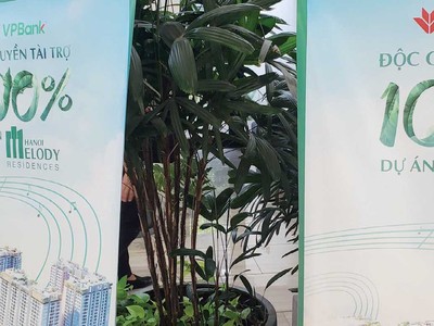 Việc sử dụng đòn bẩy tài chính để mua nhà cần được tính toán kỹ lưỡng. Ảnh: Dũng Minh.