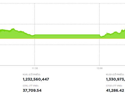 Lực cung gia tăng về cuối ngày, VN-Index điều chỉnh nhẹ
