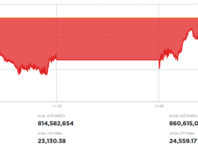 Lực cung được tiết giảm, thị trường thu hẹp đà rơi