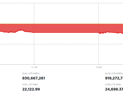 Nhà đầu tư bán ra mạnh hơn, thị trường tiếp tục giảm trong phiên ngày 12/12