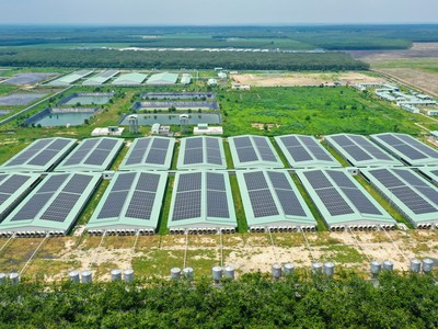 Giữa “tâm bão” ngành chăn nuôi, BAF nỗ lực giữ biên lợi nhuận 