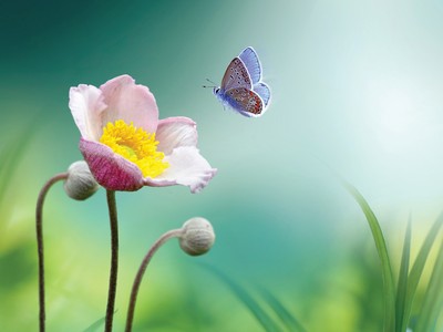 Dòng tiền thông minh luôn biết chọn đúng địa chỉ để chảy vào.