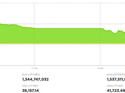 Lực cầu lan tỏa, VN-Index hồi phục gần 24 điểm
