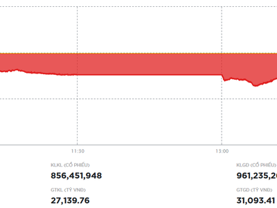 Nhiều bluechip nới đà giảm, VN-Index thủng vùng đáy cũ