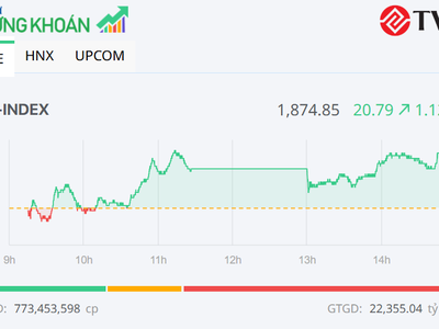 VN-Index tăng hơn 20 điểm nhờ lực đẩy quen thuộc