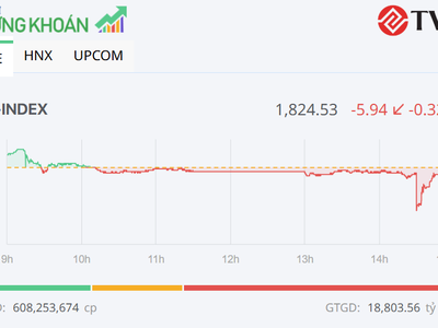 Sắc đỏ lấn át, VN-Index quay đầu giảm trong phiên ngày 19/6