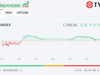 Thị trường phân hóa, VN-Index tăng nhẹ trong phiên ngày 7/8