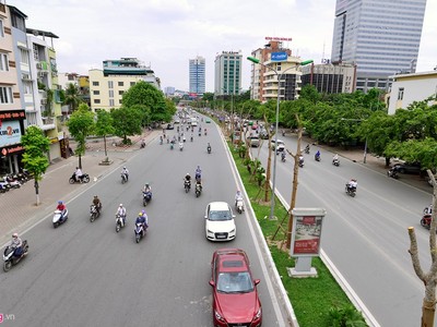 Thời gian gần đây, hàng loạt tuyến đường ở Hà Nội được Công ty TNHH MTV Công viên Cây xanh Hà Nội trồng rất nhiều phượng ở dải phân cách. Cây có đường kính khá lớn khoảng 30 cm, cao chừng 4-5 m.  