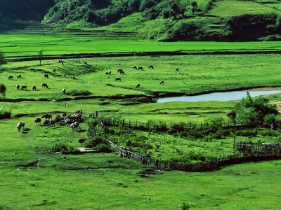 Măng Đen - Kon Tum có điều kiện thuận lợi để đầu tư xây dựng sân Golf.