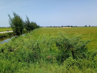 Quyết định mới của tỉnh Thừa Thiên Huế quy định diện tích tách thửa tối thiểu với nhiều loại đất cụ thể.