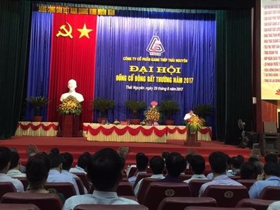 ĐHCĐ bất thường Gang thép Thái Nguyên: Điều chỉnh giảm 1.000 tỷ đồng vốn điều lệ
