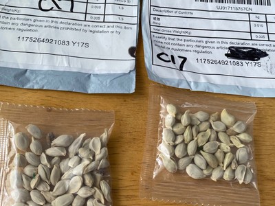 Mỹ, Canada cảnh báo hàng loạt bưu phẩm lạ được gửi từ Trung Quốc