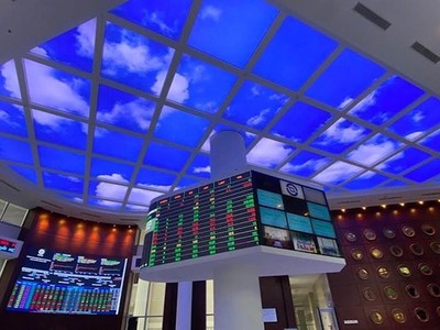 Chứng khoán tiếp tục lao dốc, có cần phải cứu và bằng cách nào?