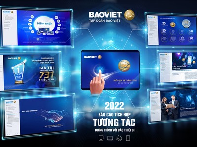 Báo cáo tích hợp của Bảo Việt