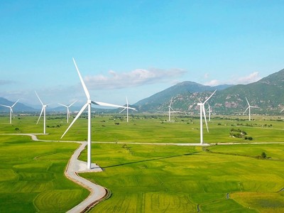 8 nhà máy điện gió, điện mặt trời đã được thống nhất giá mua tạm thời