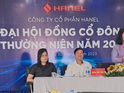 Hanel: "Không thoái vốn thành công, Công ty không thể phát triển được"