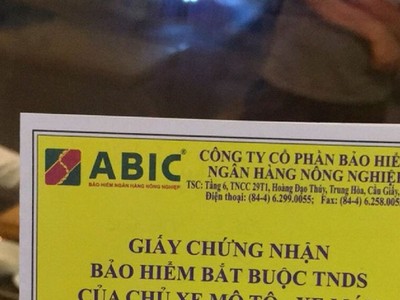Một công ty bảo hiểm có 3.000 tỷ đồng gửi ngân hàng, cả năm “ung dung” báo lãi hàng trăm tỷ đồng