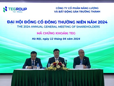 Đại hội đồng cổ đông TEG: Tập trung nguồn lực cho năng lượng, có lộ trình rút khỏi mảng bất động sản