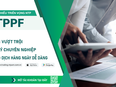 Chốt lãi sớm cổ phiếu FPT và nhóm ngân hàng, Quỹ NTPPF đứng ngoài thị trường trong 4 tháng qua