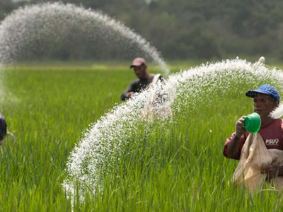 Ngành phân bón, hoá chất: Lợi nhuận DGC đi lùi, BFC, DPM, LAS, NFC tăng trưởng vượt trội trong 6 tháng đầu năm