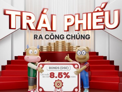 Chứng khoán Vina chào bán thành công lô trái phiếu DNSE