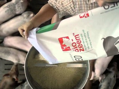 Dòng sản phẩm Bio-zeem “Xanh” (dòng trung cấp) cho heo và Bio-zeem cho gà thịt được Masan đưa ra vào cuối năm 2017 và bước đầu đã được thị trường chấp nhận