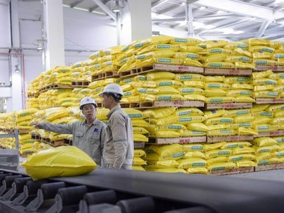 Dầu khí, thép, phân bón, thủy sản sẽ hưởng lợi từ xung đột Nga - Ukraina