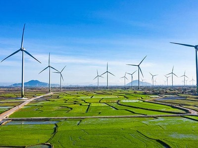 Cùng Việt Nam thắp sáng hành trình xanh