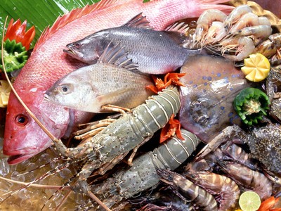 2 tháng, tổng sản lượng thủy sản ước đạt 767.000 tấn