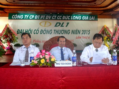 DL1 sẽ phát hành thêm 15 triệu cổ phiếu tăng vốn lên gấp 6 lần 