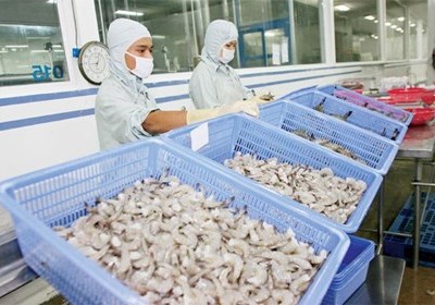 SJ1: Ngày GDKHQ thực hiện quyền mua cổ phiếu (1:1)