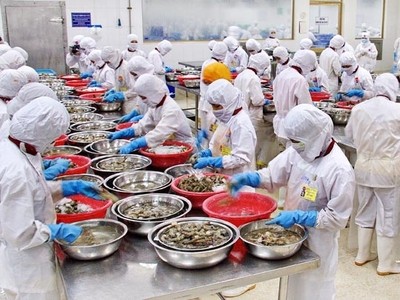 Panama sắp thanh tra một số cơ sở thủy sản Việt Nam