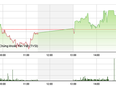 Phiên chiều 11/11: “Cuộc đua” của 2 tỷ phú