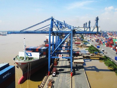 LM8 sẽ trả cổ tức năm 2016 bằng tiền mặt, tỷ lệ 10%